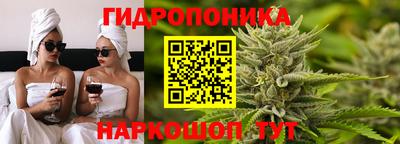 кокс Гусев