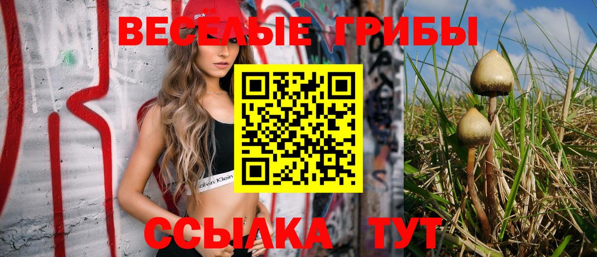 Псилоцибиновые грибы прущие грибы Новоуральск