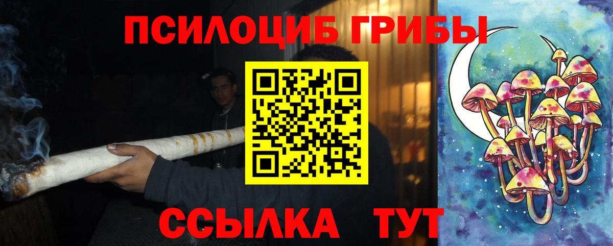 Псилоцибиновые грибы GOLDEN TEACHER Новоуральск